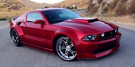 ���� �������: �����