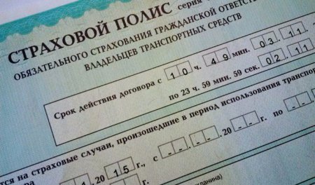 ���� ��������� ���������� � ����� 2015 - ������ 2016 ����