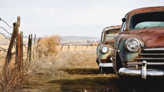 ��������� ���������� ����������� � 2019 ���� � ������